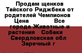 Продам щенков Тайского Риджбека от родителей Чемпионов › Цена ­ 30 000 - Все города Животные и растения » Собаки   . Свердловская обл.,Заречный г.